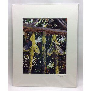 Rusted Iron Fence Color Photo Matted Art 11x14 Kaynard Photography Charleston SC